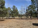 25.7 Ac Highway 49 South - Photo 16