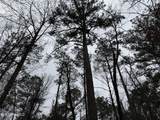  Mount Elam Church Road - Photo 15