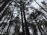  Mount Elam Church Road - Photo 23
