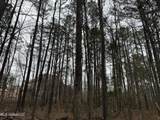  Mount Elam Church Road - Photo 6