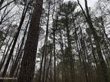  Mount Elam Church Road - Photo 7