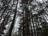  Mount Elam Church Road - Photo 8