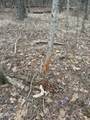  County Road 2211 - Photo 2