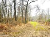  Sidney Ellzey Road - Photo 11