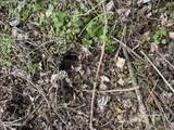 0 Hawpond Church Road - Photo 10
