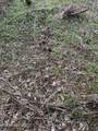 0 Hawpond Church Road - Photo 11