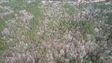 0 Hawpond Church Road - Photo 17