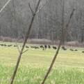 0001 County Road 204 - Photo 15
