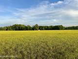 0001 County Road 204 - Photo 33