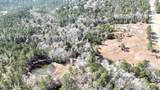 0 Wolf River Road - Photo 13