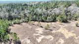 0 Wolf River Road - Photo 30
