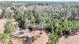 0 Wolf River Road - Photo 31