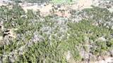 0 Wolf River Road - Photo 36
