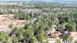 0 Wolf River Road - Photo 49