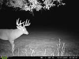 577 Black Jack Road - Photo 15