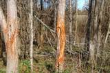 577 Black Jack Road - Photo 3