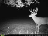 577 Black Jack Road - Photo 9
