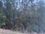  Paige Bayou Road - Photo 9