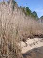 Lot 1 Swetman Beach Drive - Photo 15