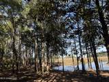 1210 Delapointe Drive - Photo 15