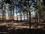 1210 Delapointe Drive - Photo 16