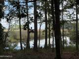 1210 Delapointe Drive - Photo 3