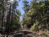 1210 Delapointe Drive - Photo 4