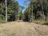 1210 Delapointe Drive - Photo 9