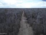 2599 Martin Tram Road - Photo 1