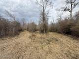 2599 Martin Tram Road - Photo 16