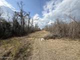 2599 Martin Tram Road - Photo 17