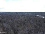 2599 Martin Tram Road - Photo 3
