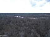 2599 Martin Tram Road - Photo 4