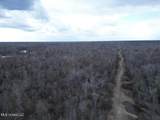 2599 Martin Tram Road - Photo 6