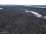 2599 Martin Tram Road - Photo 8