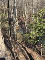  Lee Bass Road - Photo 6