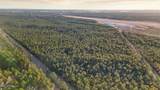  Saracennia Point - Photo 1