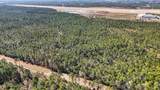  Saracennia Point - Photo 13