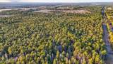  Saracennia Point - Photo 4