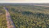  Saracennia Point - Photo 7
