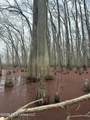 County Road 526 - Photo 18