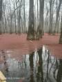  County Road 526 - Photo 20
