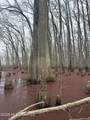  County Road 526 - Photo 34