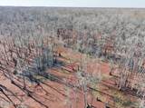  County Road 526 - Photo 40