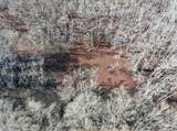  County Road 526 - Photo 41