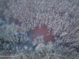  County Road 526 - Photo 8