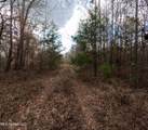  Saint John Road Road - Photo 11