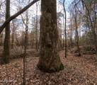  Saint John Road Road - Photo 15