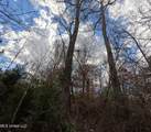  Saint John Road Road - Photo 4