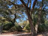 0 Camelia - Photo 1